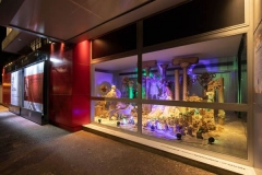 PresepioCasaFiatdeCultura_Foto_Leo_Lara__MG_3062-medium